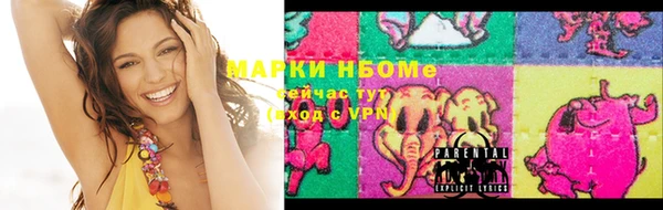 apvp Алзамай
