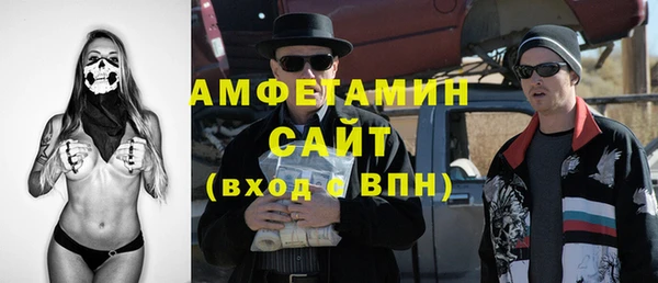 шишки Алексин