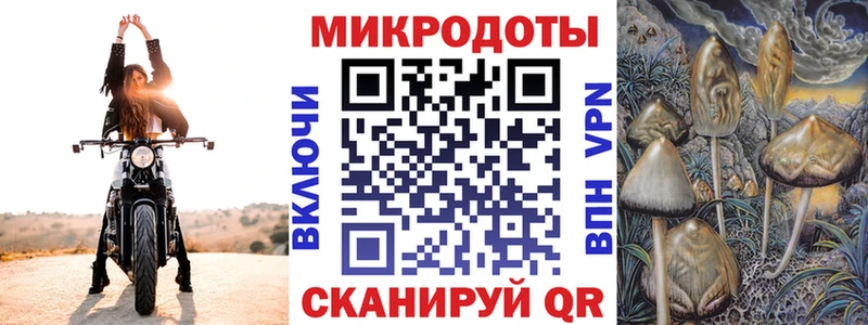 Галлюциногенные грибы ЛСД  shop Telegram  Вытегра  купить наркотик 